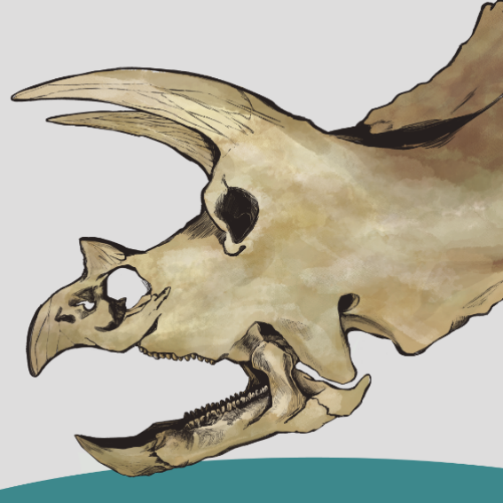 Triceratops_horridus